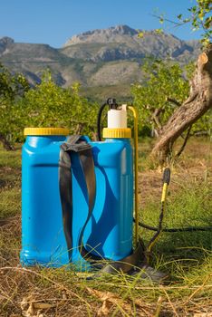 Pesticide sprayer  in a sunny citrus plantation