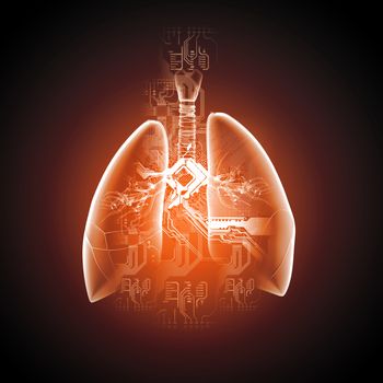 Schematic illustration of human lungs with the different elements on a colored background. Collage.