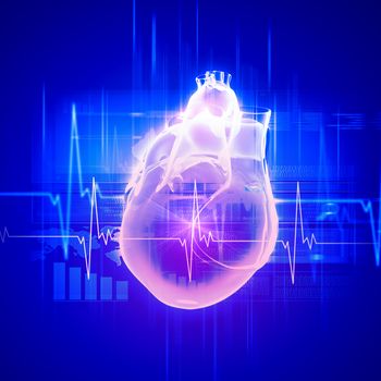 Virtual image of human heart with cardiogram