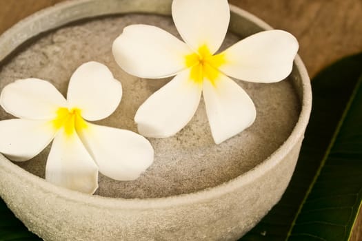 Plumeria placed on ice
