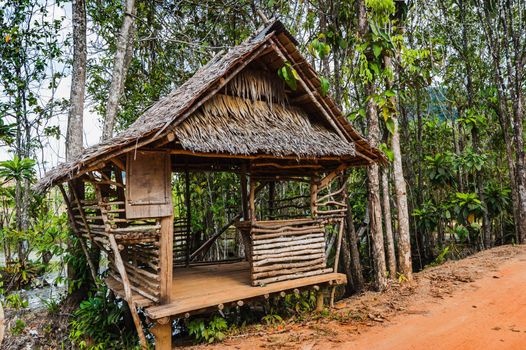 hut on the road in the jungle with palm trees on the  Phuket in Thailand