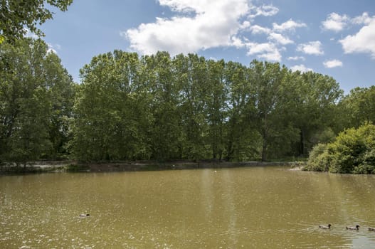 large lake with trees and blue sky