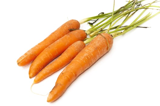 bunch of carrots on a white background