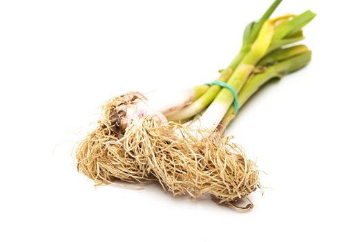 small onions bunch on a white background