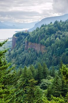 Forest and cliffs in the Columbia River Gorge in Oregon