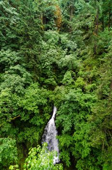 Waterfall in Oregon falling through a beautiful lush green forest
