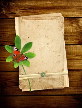 Old cards, green leaf and butterfly on wooden planks