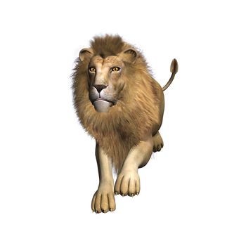 3D digital render of a jumping male lion isolated on white background