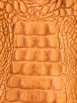 Close up crocodile skin texture as background