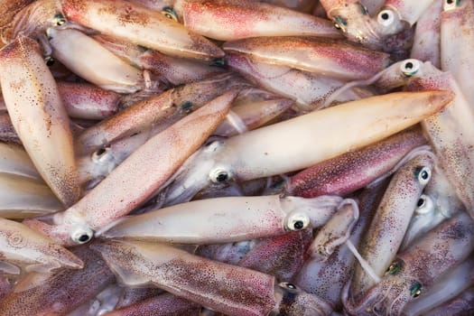 Closeup fresh squid in the  seafood market