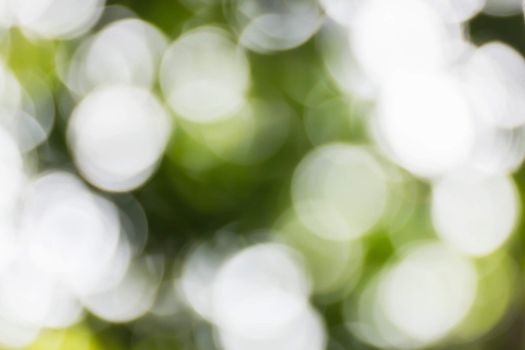 Blurred lights green bokeh abstract light background