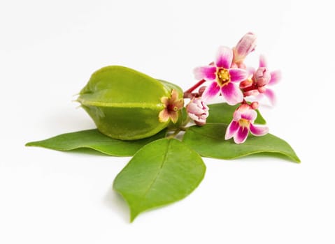 Star apple fruit and flower it on white background