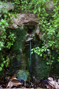 natural source of very fresh water out of the mountain