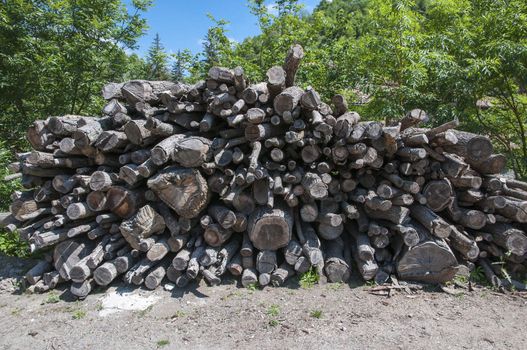 pile of logs for firewood