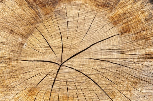 wood background with streaks