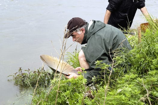 Cardet - France - May 18th, 19th and 20th, 2013 - European Cup of the gold diggers in river.