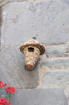 birds nest with red flowers