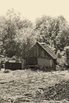 Old abandoned barn amongst trees. Stylized as an old black and white photograph