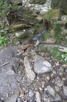 Mountain stream in fresh water