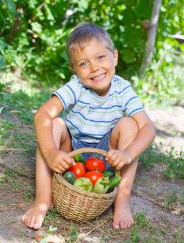 Vegetable garden - little gardener boy with a basket of organic zucchini and tomatoes