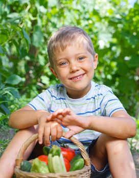 Vegetable garden - portrait of little gardener boy with a basket of organic zucchini and tomatoes