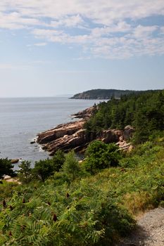 Coast in Acadia NP