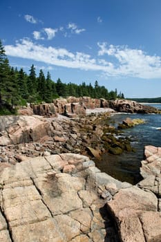 Coastline in Acadia NP