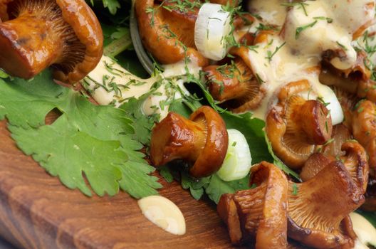 Roasted Chanterelles Cheese Sauce, Leek and Greens closeup on Wooden Plate