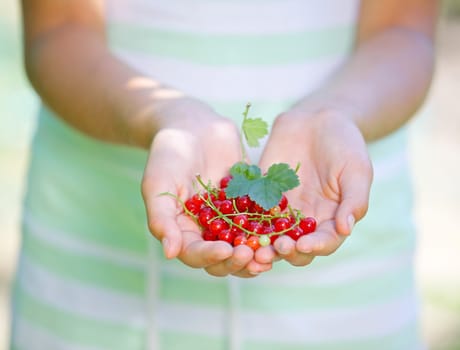 Fresh picked red currant held in girl hand