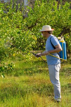 Agricultural worker spraying a citrus plantation with pesticide
