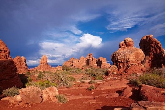 Red Desert, Arches National Park, Utah, USA