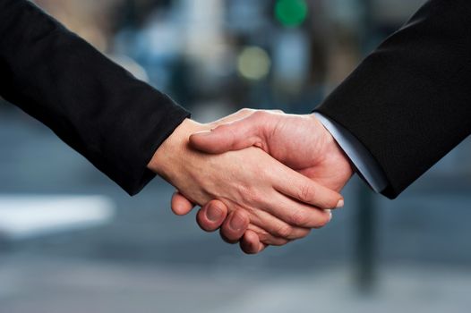 Successful business people shaking hands after closing a deal