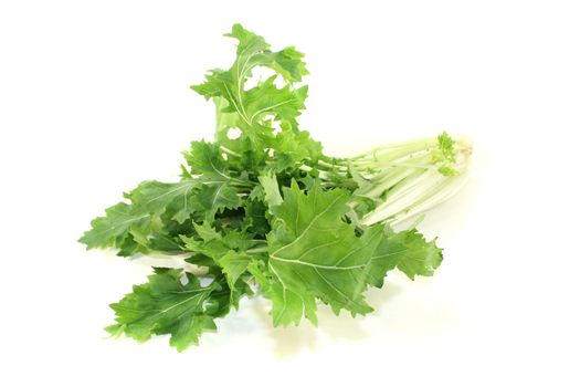 green Turnip greens on a light background