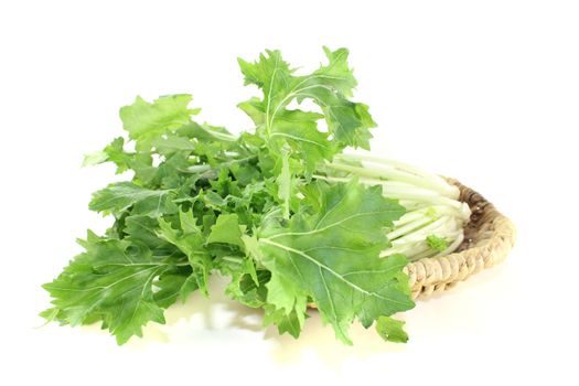 fresh Turnip green leafs on a light background