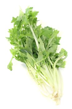 Turnip green leafs on a bright background