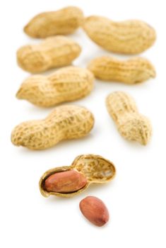 composition of peanuts isolated