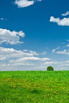 Field and the sky