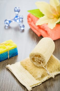 set for taking bath on wooden background