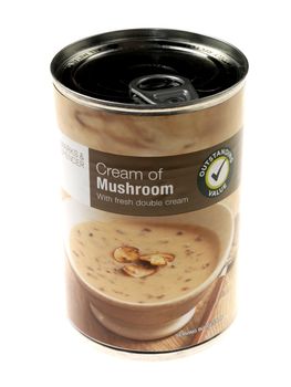 Tin of Cream of Mushroom Soup