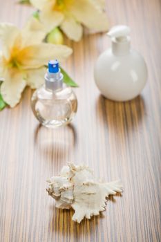 cockle shell flower and bottles