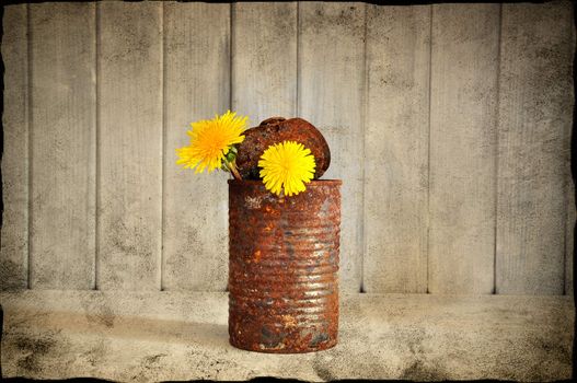 Rusty tin can with flowers, decay feeling.