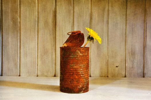 Recycle of an old tin can as vase for a single flower.