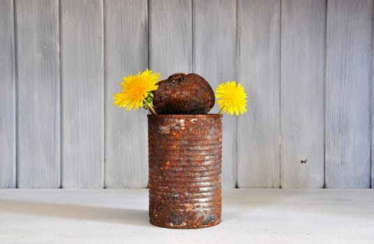Old rusty tin can used as vase for yellow flowers