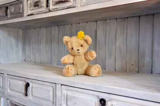 Teddy bear from the 1960's sitting in an old cabinet as decoration.
