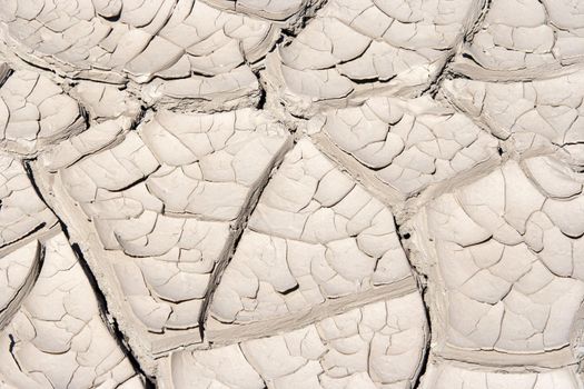 Detail of the cracked ground - dry season
