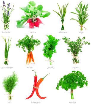 Fresh herbs and vegetable collection isolated on white background