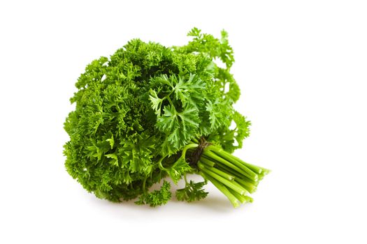 banch of parsley isolated