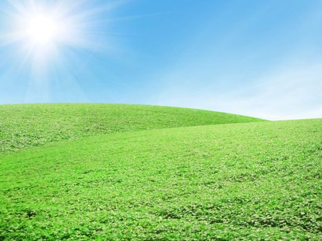 Beautiful summer landscape