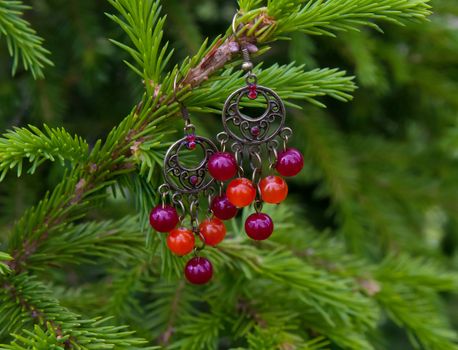 Earrings in glass yellow- orange  berries on a green spruce branches