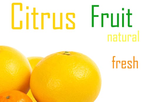 Citrus fruit on a white background